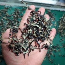 精品电商木耳丝无根木耳丝***优质木耳丝价格不高足干木耳
