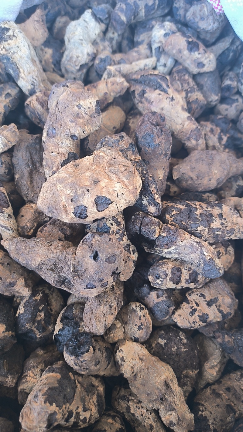生地黄生地中药材批发生地质量保证量大从优