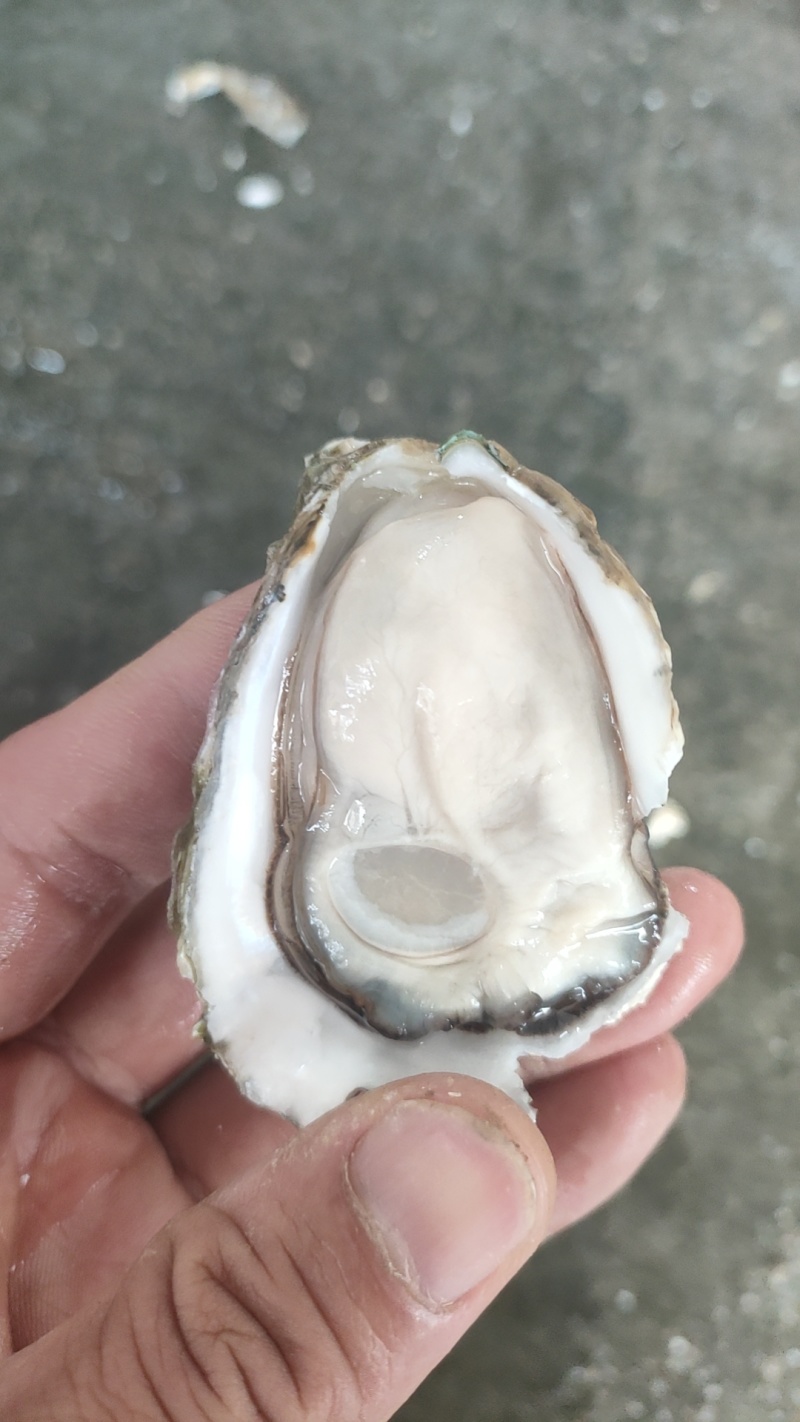 手快有手慢无，每天现货发图