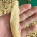 白辣椒干辣椒酱辣椒