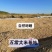 五常大米