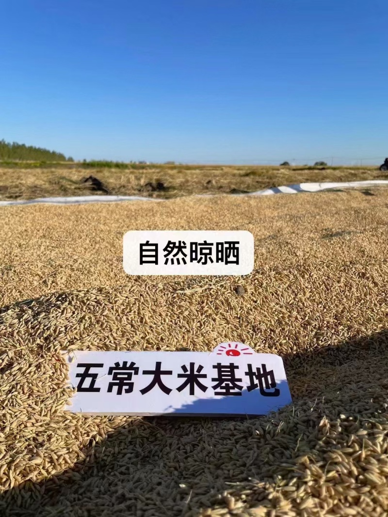 五常大米