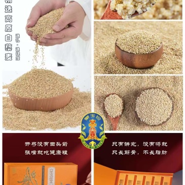 内蒙古武川高原藜麦大量上市可视频看货