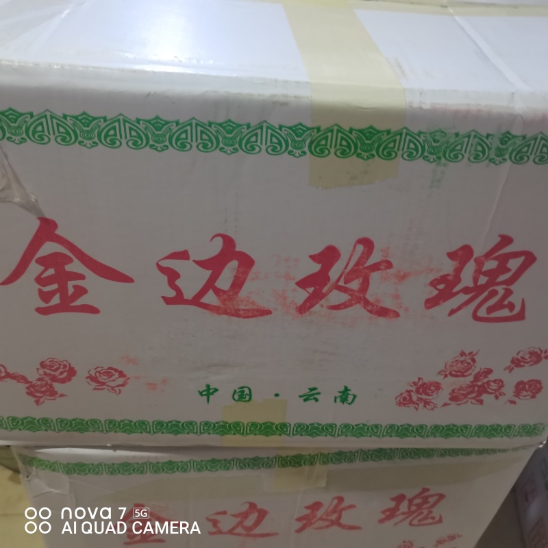 正宗云南金边玫瑰干货金边玫瑰花量大从优支持看货