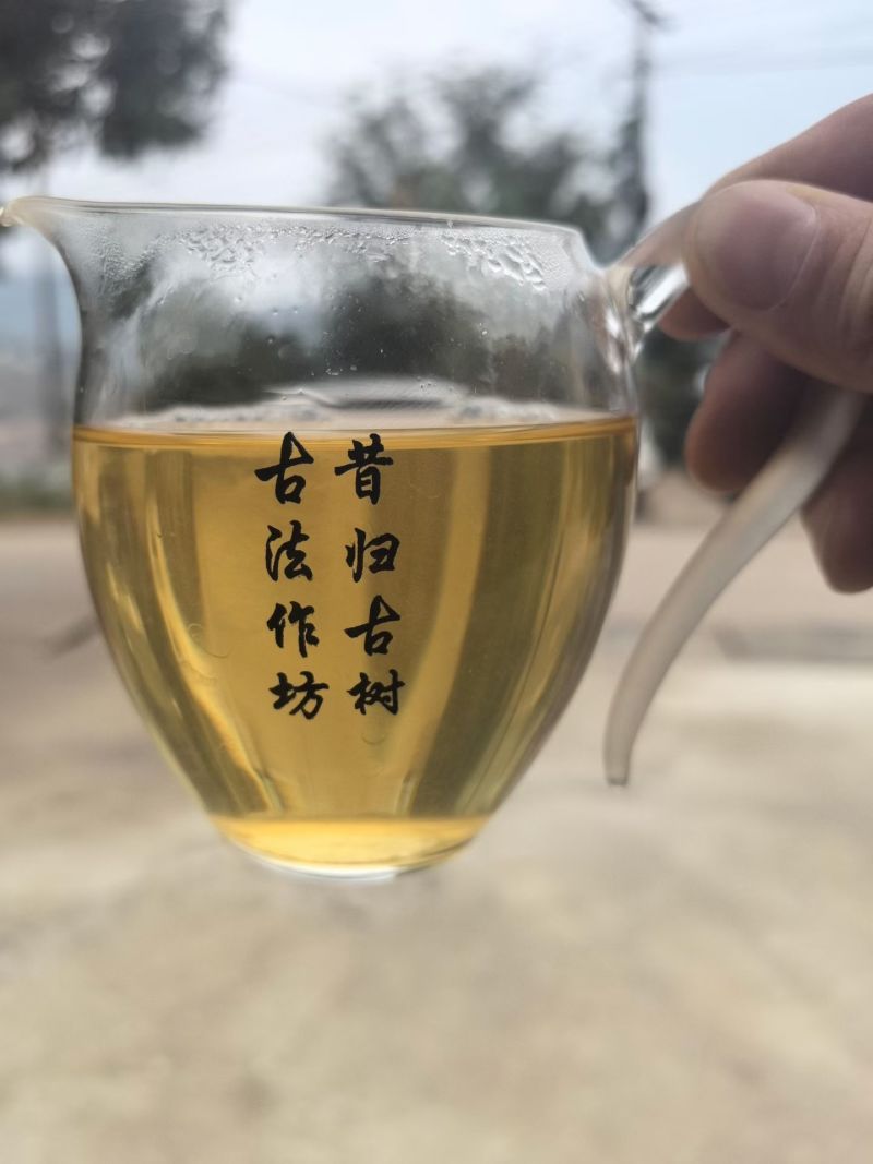 昔归古树普洱生茶