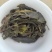昔归古树普洱生茶