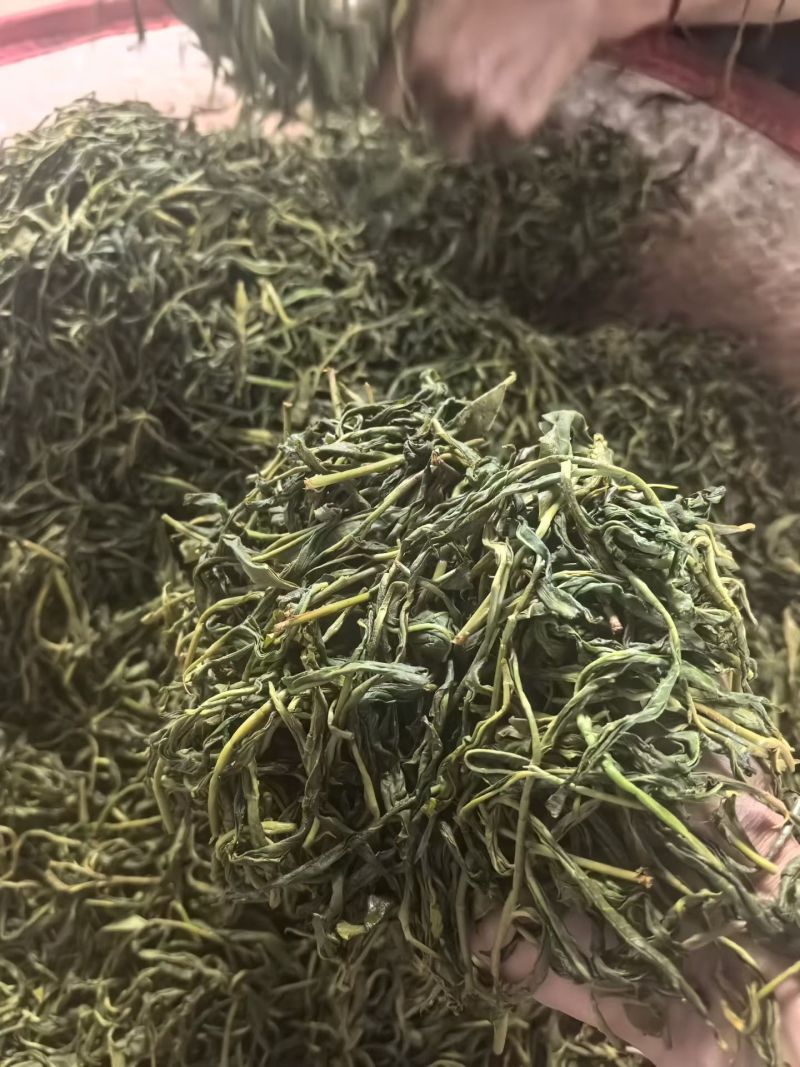 昔归古树普洱生茶