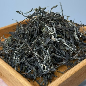 昔归古树普洱生茶