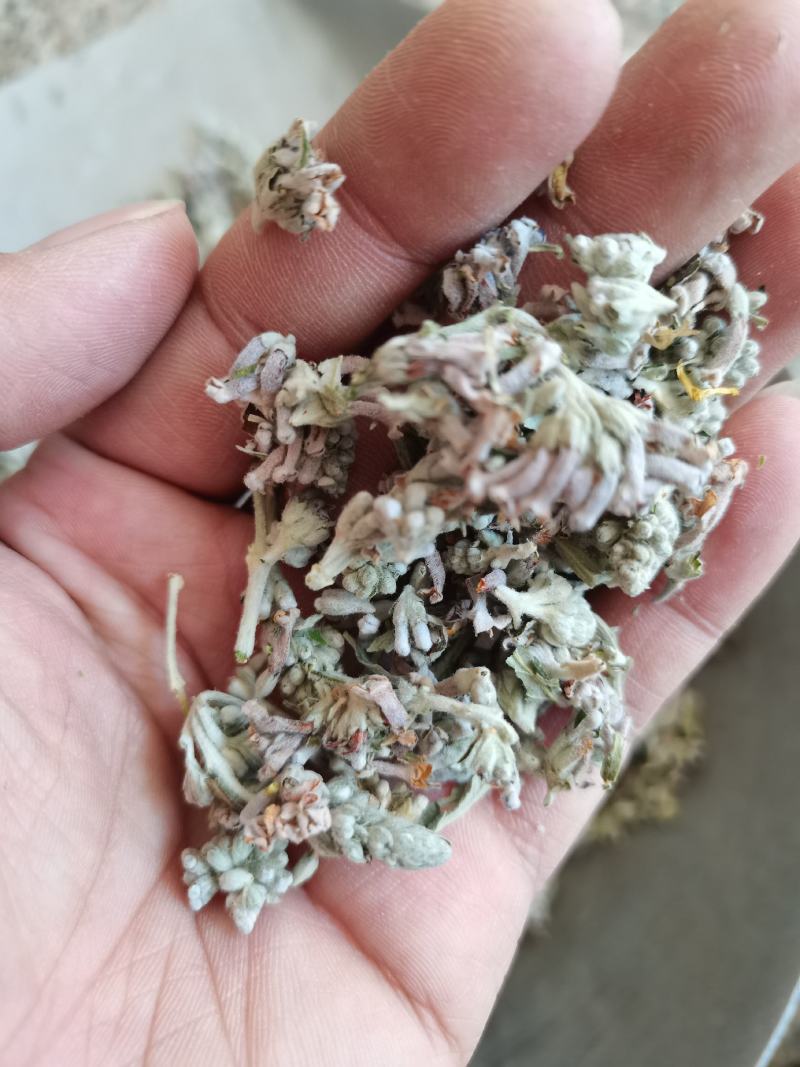 正品密蒙花新货云南密蒙花茶蜜蒙花染饭花中药材批发零售