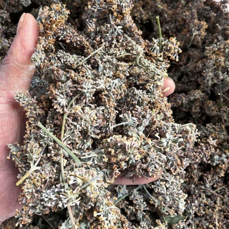 正品密蒙花新货云南密蒙花茶蜜蒙花染饭花中药材批发零售