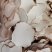 虎乳菌大片批发煲汤养生虎奶菌新货虎奶菇规格齐全无碎供应货