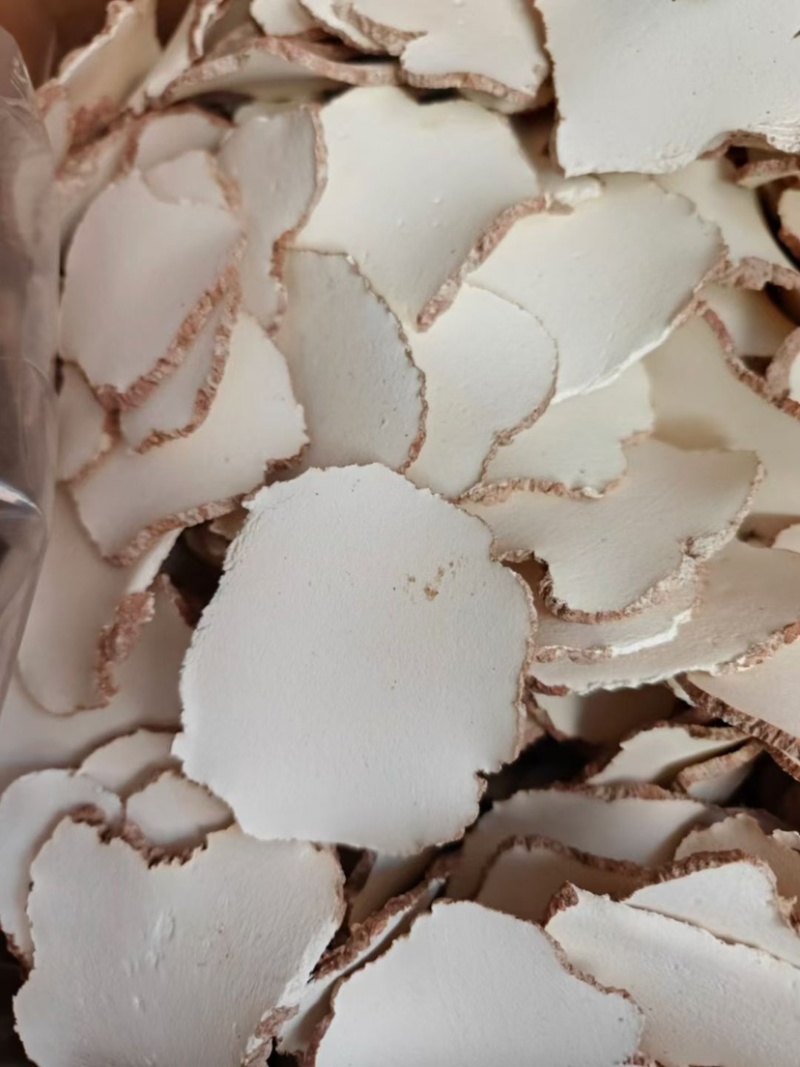 虎乳菌大片批发煲汤养生虎奶菌新货虎奶菇规格齐全无碎供应货