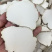 虎乳菌大片批发煲汤养生虎奶菌新货虎奶菇规格齐全无碎供应货