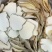 虎乳菌大片批发煲汤养生虎奶菌新货虎奶菇规格齐全无碎供应货
