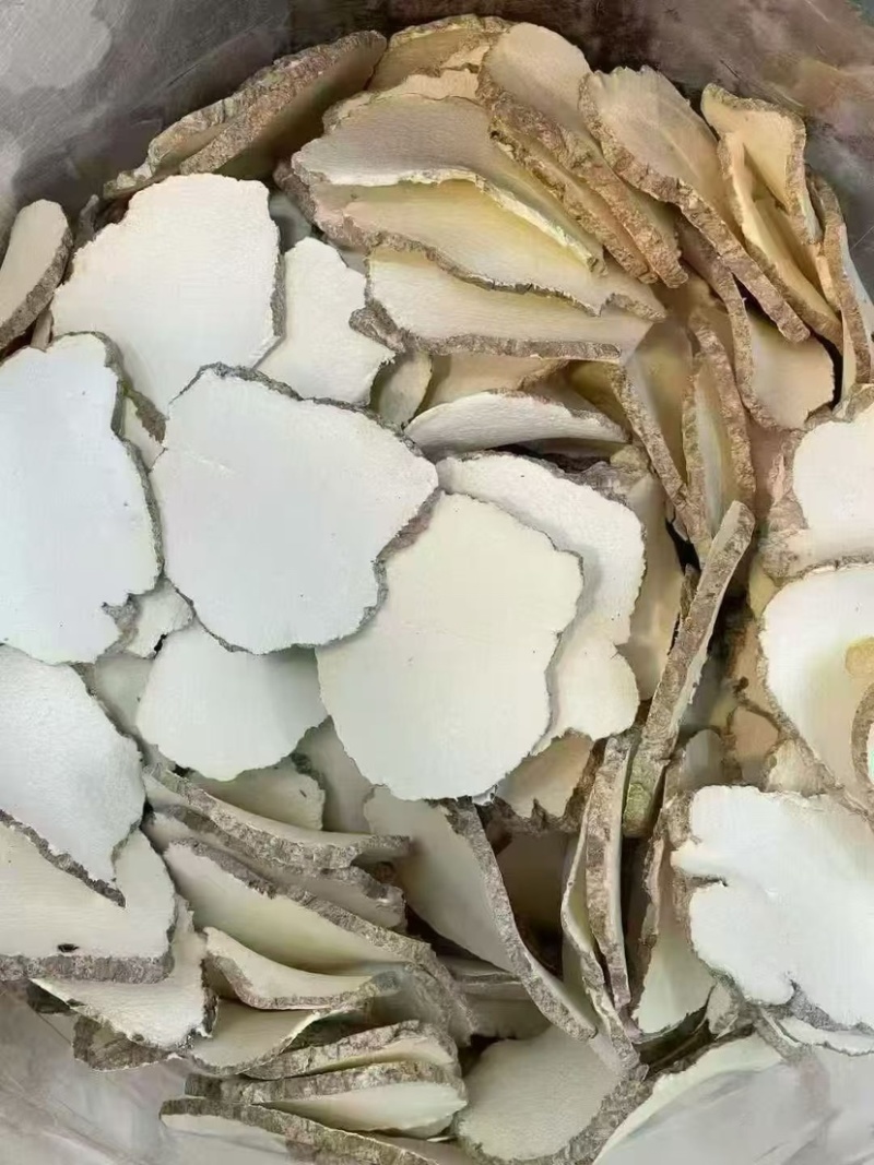 虎乳菌大片批发煲汤养生虎奶菌新货虎奶菇规格齐全无碎供应货