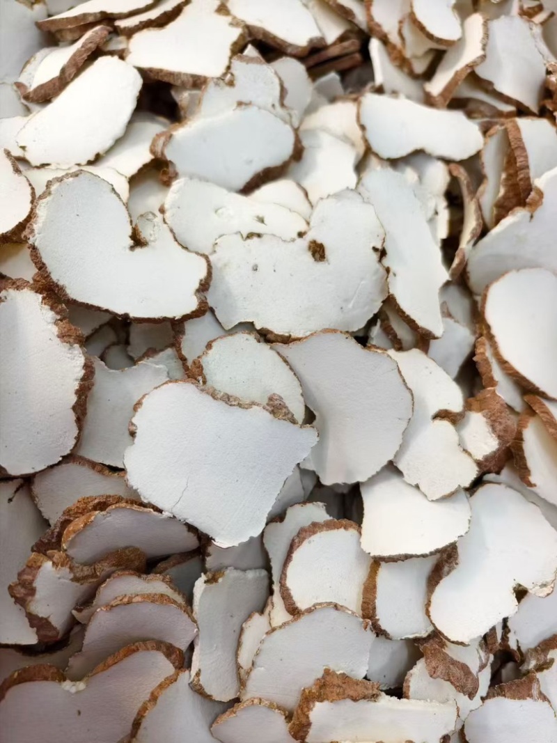 虎乳菌大片批发煲汤养生虎奶菌新货虎奶菇规格齐全无碎供应货