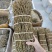 云南铁皮石斛干条石斛条紫皮石斛干条胶质饱满口感好全化渣