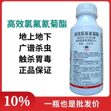 大炮10%高效氯氟氰菊酯棉花棉铃虫农药杀虫剂水乳剂打虫药
