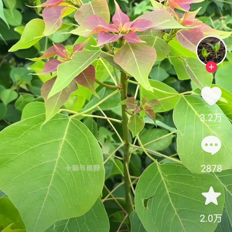 各种规格都有