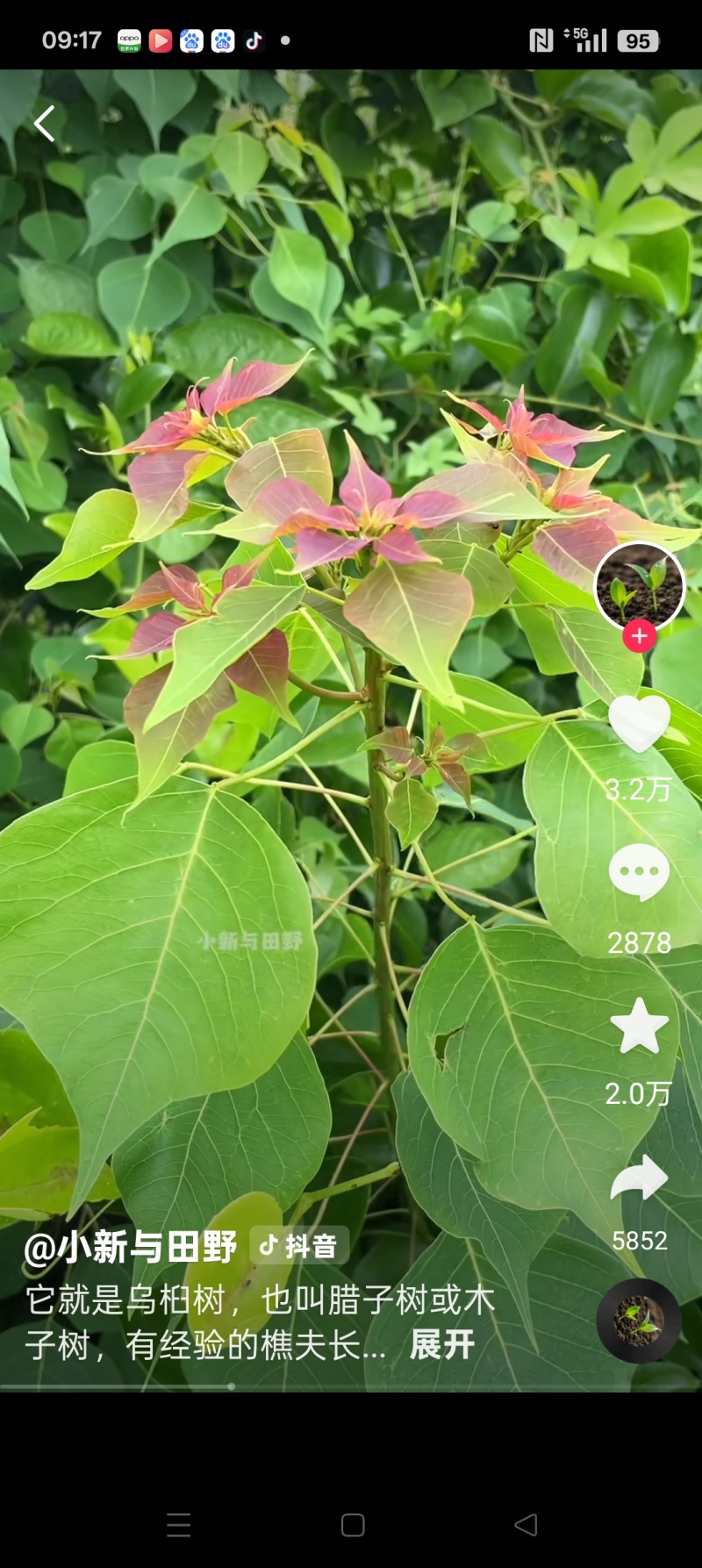 各种规格都有