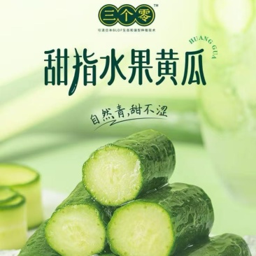 宁夏有机种植一休甜指水果黄瓜