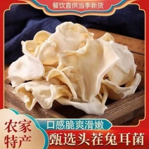 白木耳竹耳兔耳菌产地直销
