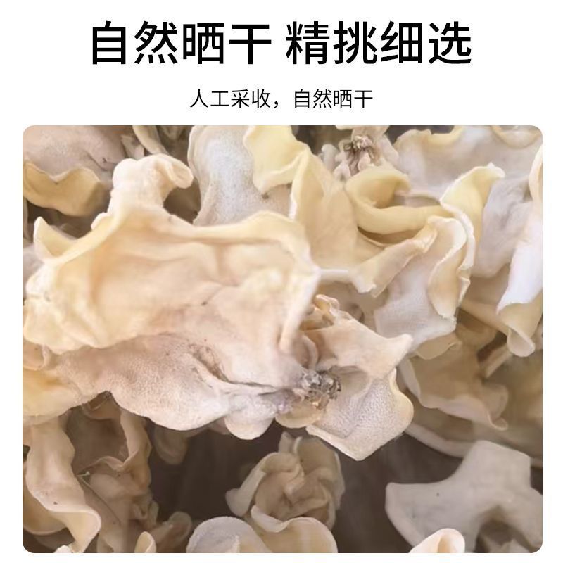 【推荐】白木耳竹耳兔耳菌产地直销品质好欢迎联系