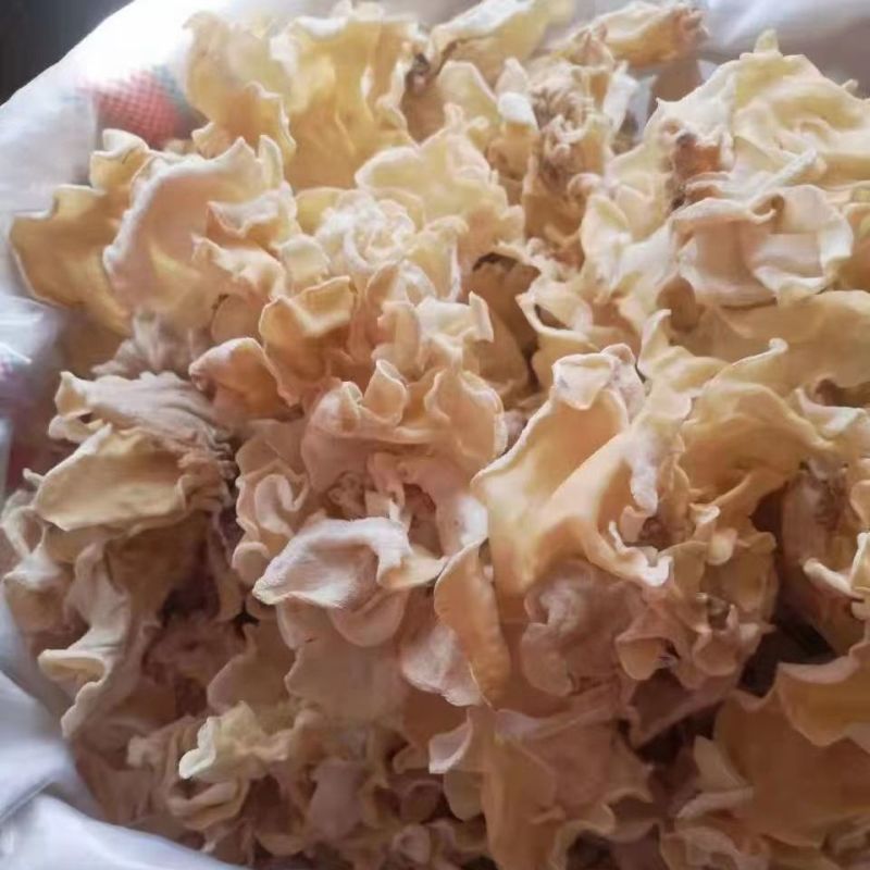 【推荐】白木耳竹耳兔耳菌产地直销品质好欢迎联系