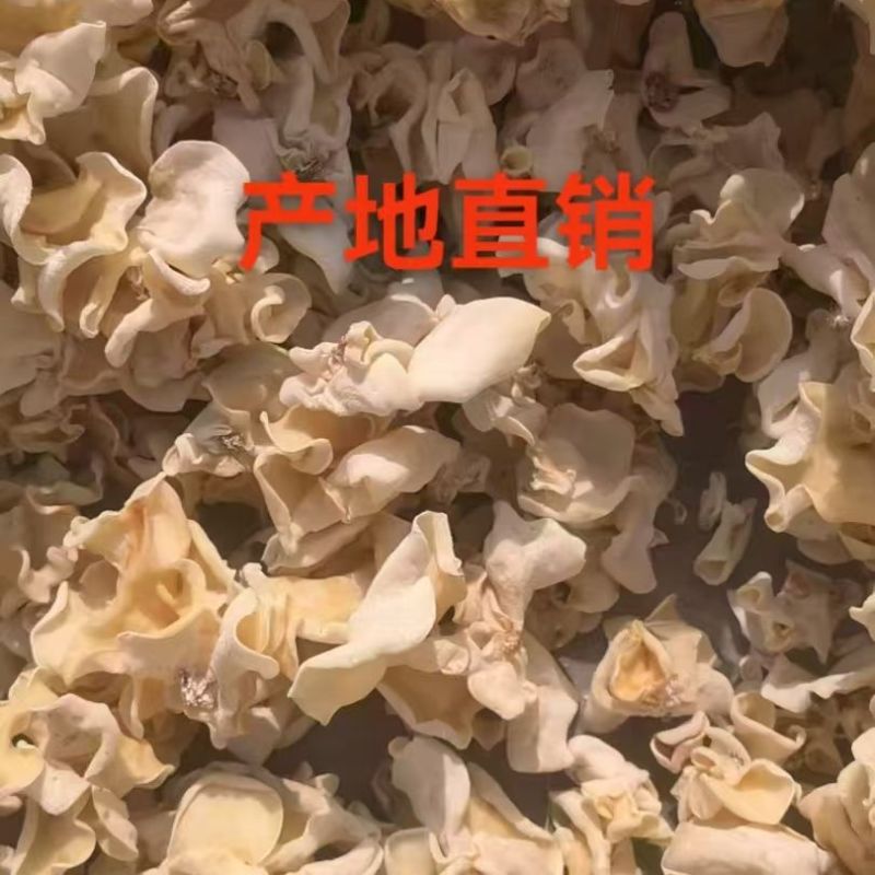 【推荐】白木耳竹耳兔耳菌产地直销品质好欢迎联系