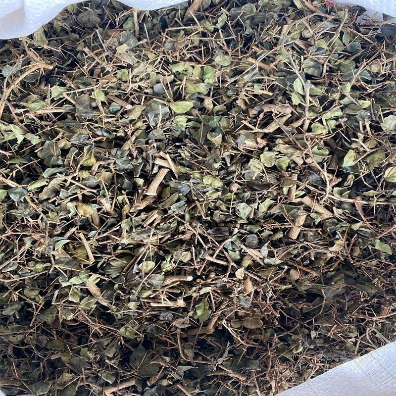绣花针中草药正品绣花针无硫熏干净无杂绣花针