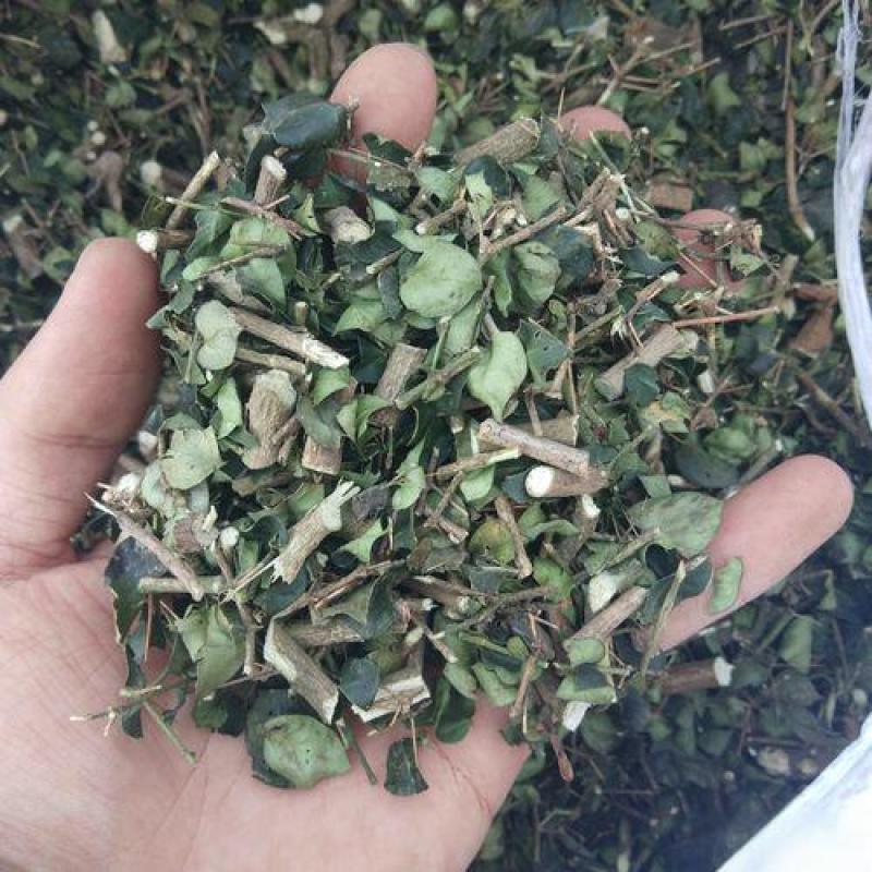 绣花针中草药正品绣花针无硫熏干净无杂绣花针