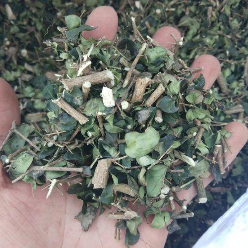 绣花针中草药正品绣花针无硫熏干净无杂绣花针