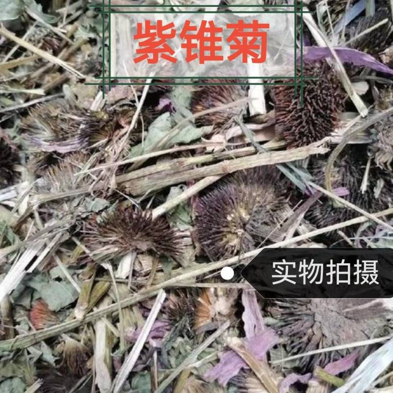 紫雏菊中药材紫锥菊新货正品松果菊紫锥花紫雏菊