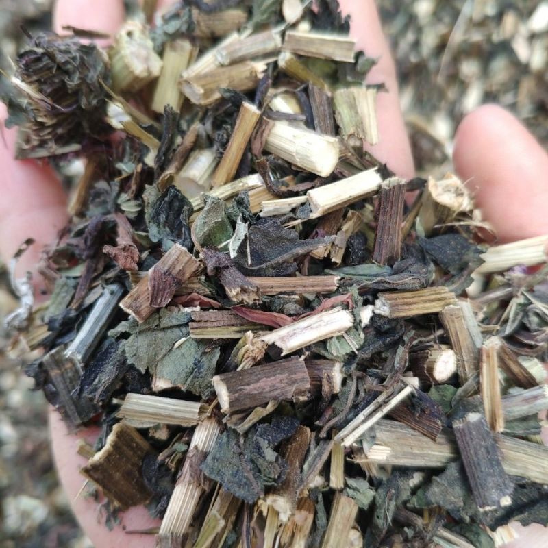 紫雏菊中药材紫锥菊新货正品松果菊紫锥花紫雏菊