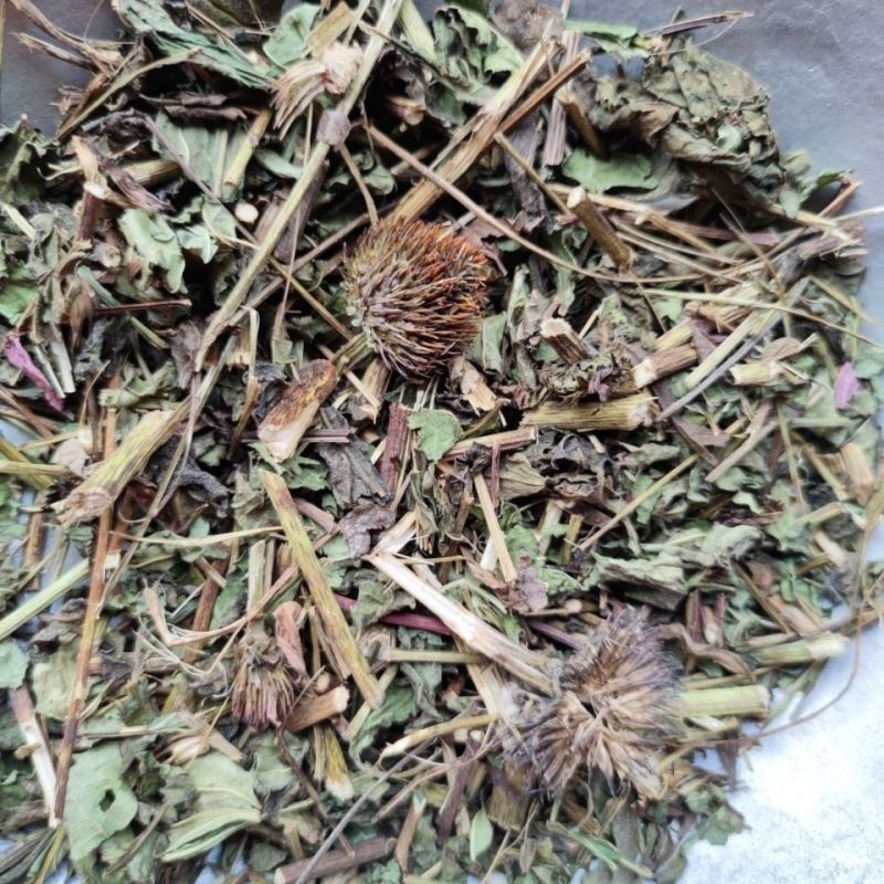 紫雏菊中药材紫锥菊新货正品松果菊紫锥花紫雏菊
