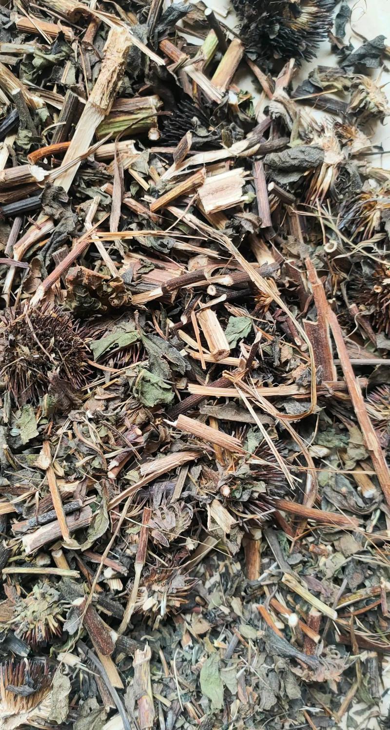 紫雏菊中药材紫锥菊新货正品松果菊紫锥花紫雏菊