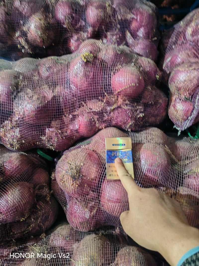 红美洋葱
