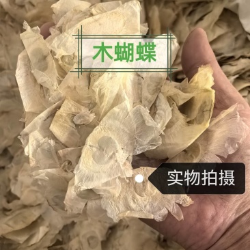 木蝴蝶中药材干净无杂质千张纸玉蝴蝶康养斋中药材