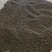 大别山野生/天葵子/紫背天葵子/千年老鼠屎/26年新货