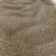 大别山野生/天葵子/紫背天葵子/千年老鼠屎/26年新货