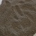 大别山野生/天葵子/紫背天葵子/千年老鼠屎/26年新货