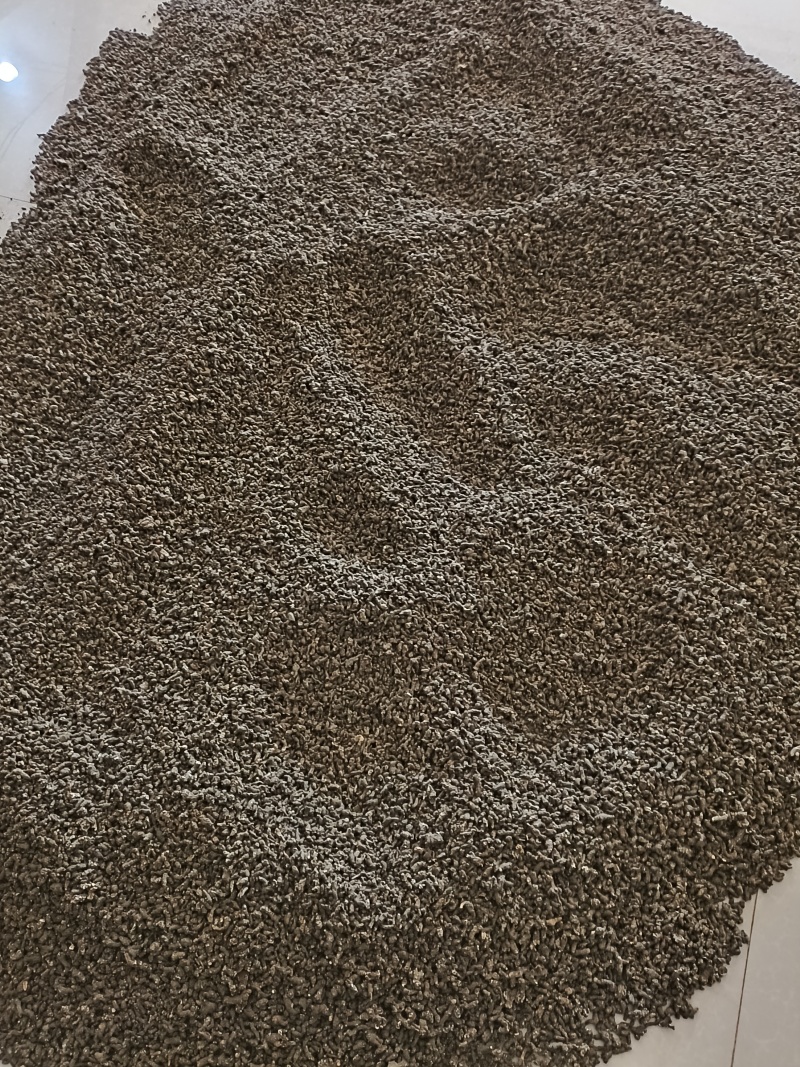 大别山野生/天葵子/紫背天葵子/千年老鼠屎/26年新货
