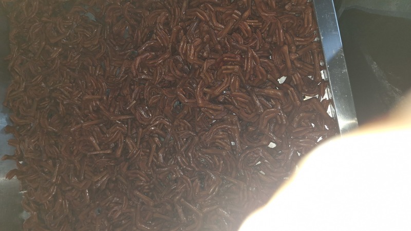 【麻辣鸭掌】