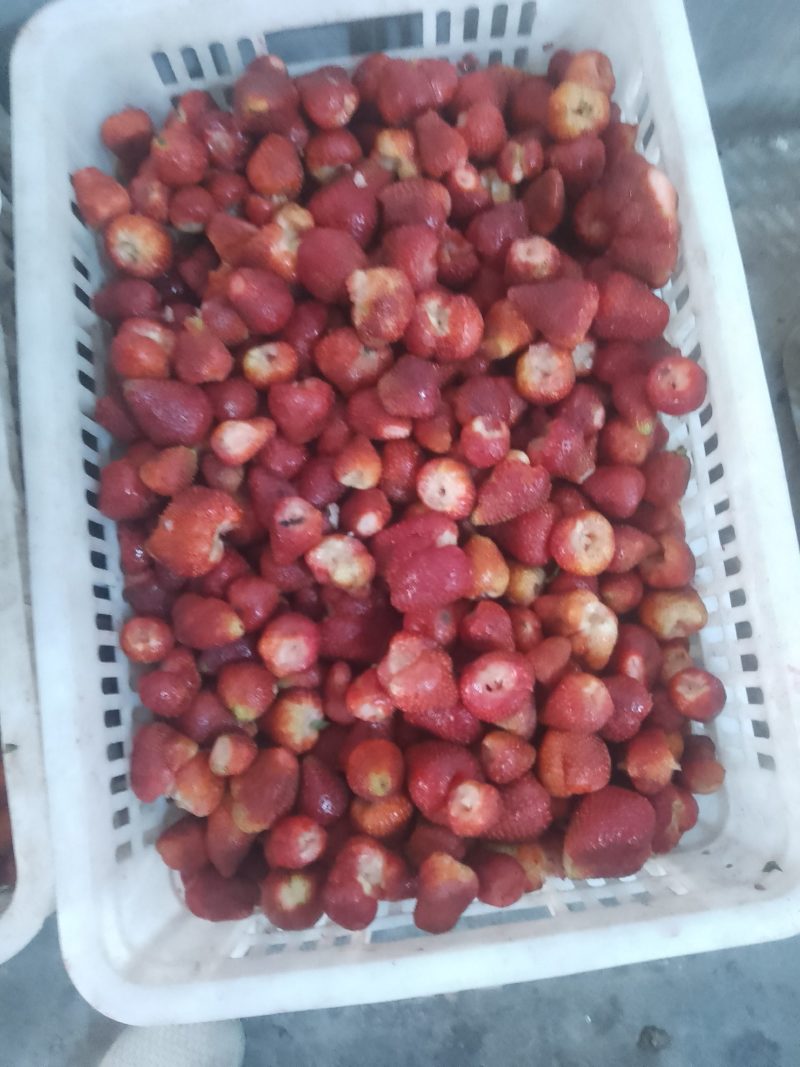 草莓批发
