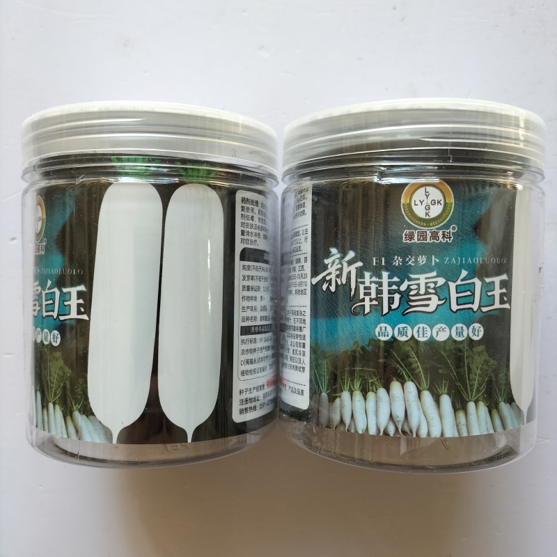 新韩雪白玉萝卜种子夏季耐热品种花叶白萝卜品种,长圆形品种