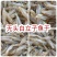 无头白立子鱼干地摊电商批发无头白立子鱼干白白帆鱼公鱼干