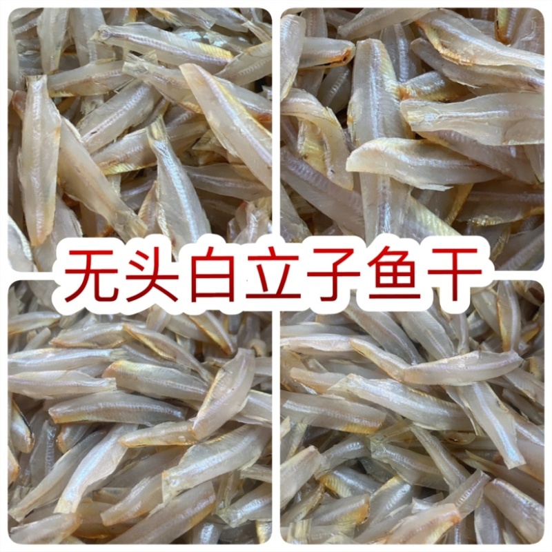 无头白立子鱼干地摊电商批发无头白立子鱼干白白帆鱼公鱼干