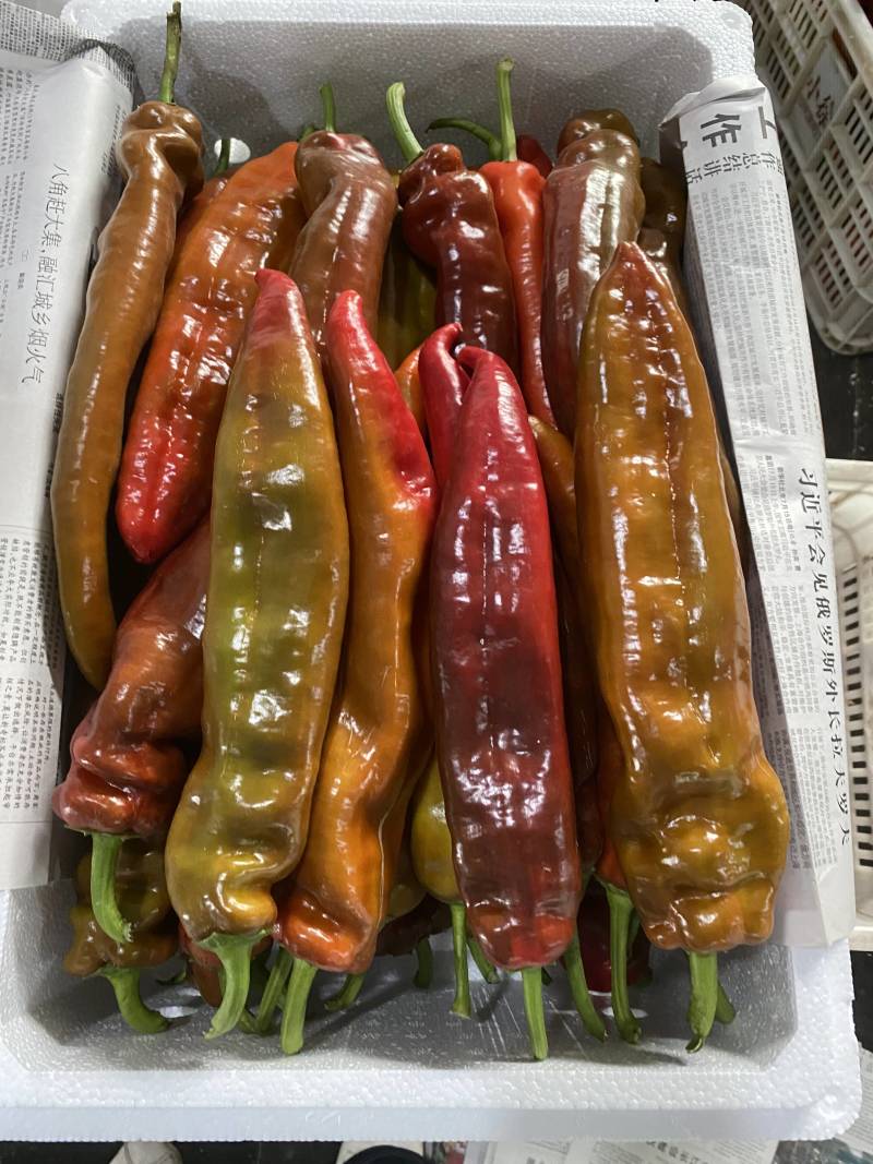 红尖椒