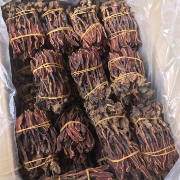 回春草优质好货一手货源现货秒发