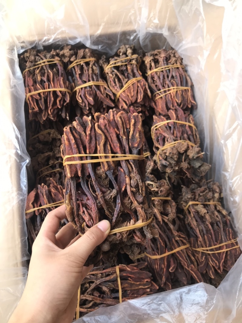 回春草优质好货一手货源现货秒发